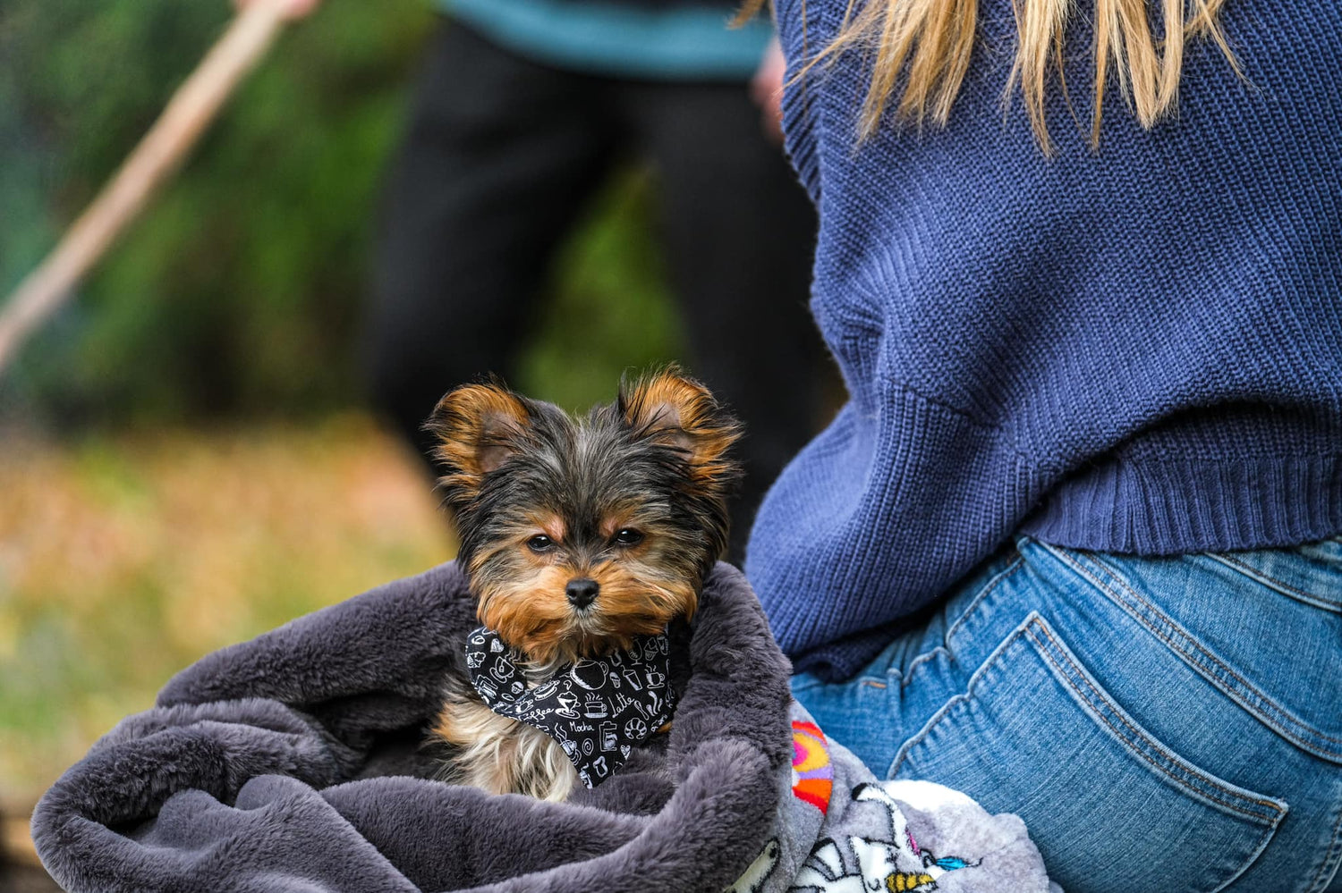 Chiens - Sacs à dodo