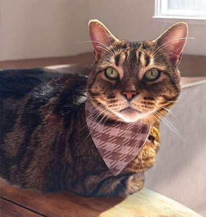 Foulard pour Chat Cabane d'Hiver