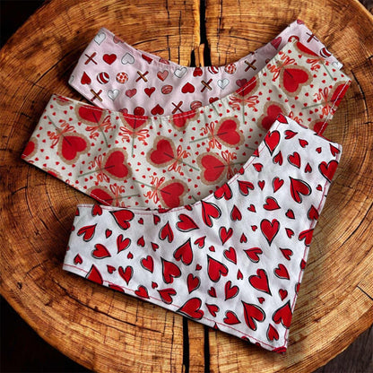 Foulard pour chien JolisCoeurs