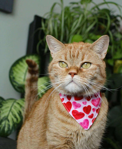 Foulard pour chat Valentine