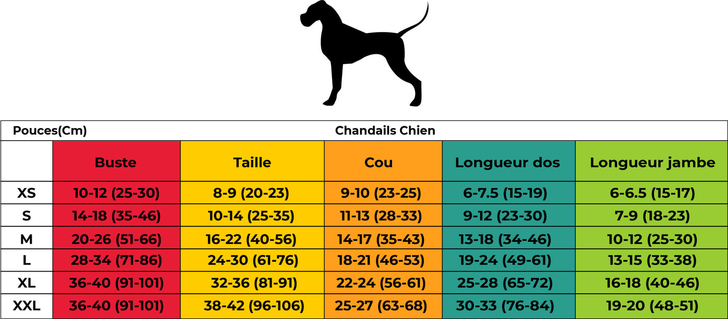 Chandail polar pour chien Aztèque