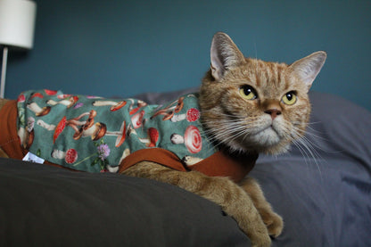 Chandail pour chat champignons