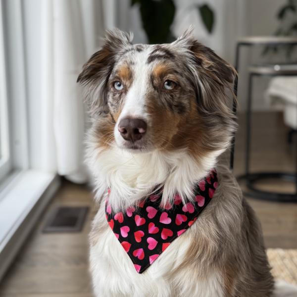 Foulard chien Éclat de Cœurs