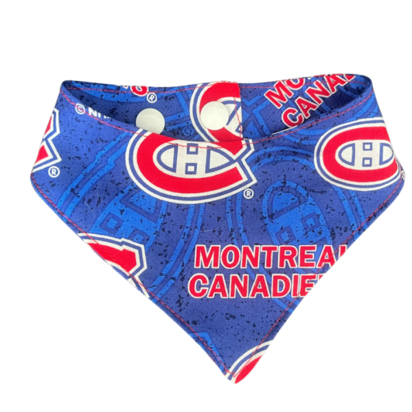 Foulard chat GO HABS – Image 2