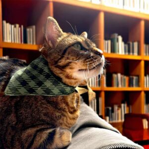 Foulard chat Sentier Boréal