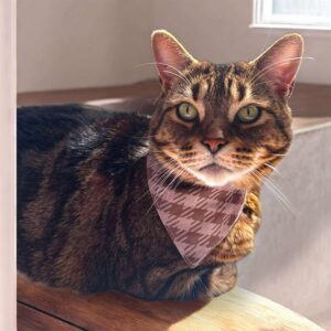 Foulard chat Cabane d'Hiver